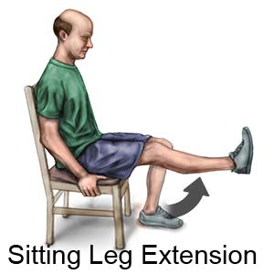 Sitting Leg Extension