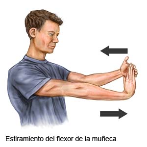 Elongación del flexor de la muñeca 