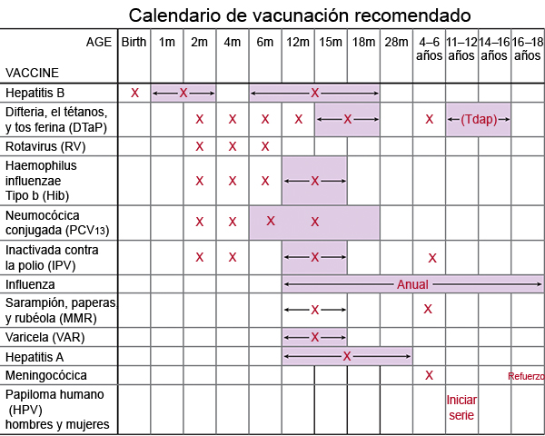 CALENDARIO DE VACUNACIÓN