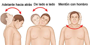 Ejercicios para el cuello 