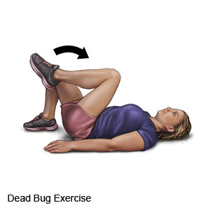 Dead Bug Exercise