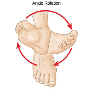Ankle Rotation