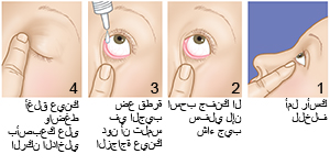 الخطوات 1 2 3 4