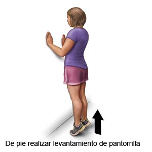 Elevación de pantorilla de pie