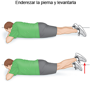 ELEVACIONES DE PIERNA RECTA