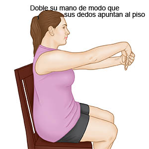 Elongación del extensor de la muñeca