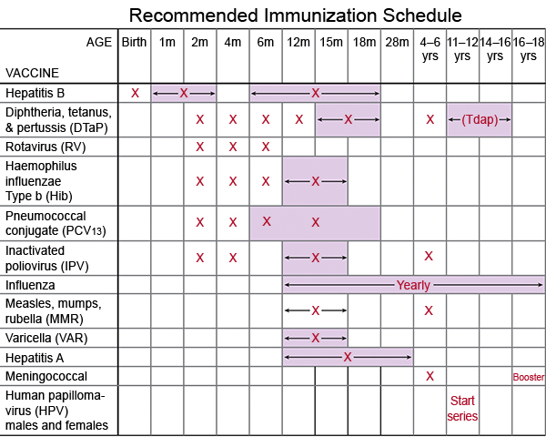 IMMUNIZATION SCHEDULE 