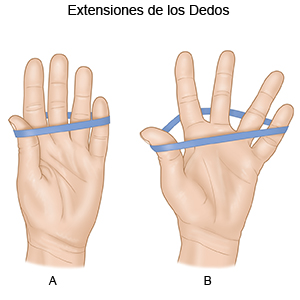 EXTENSIONES DEL DEDO
