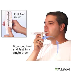 Peak Flow Meter