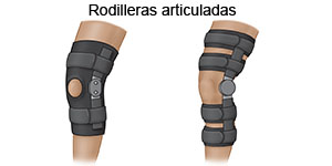 Rodillera articulada 