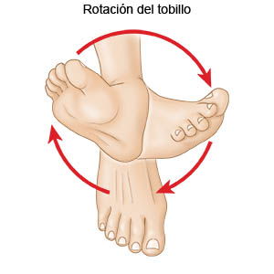 Rotación del tobillo