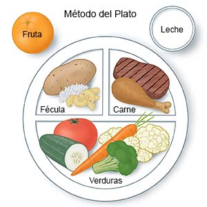 Técnica de réplica en placa